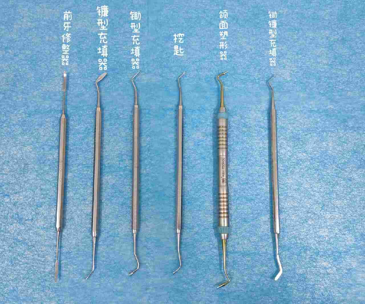 普耗类